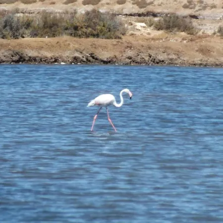 Lejlighed Twintee, Terracos De Tavira