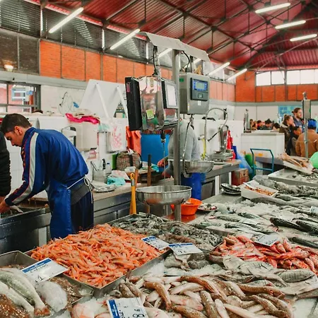 Twintee, Terracos De * Ταβίρα